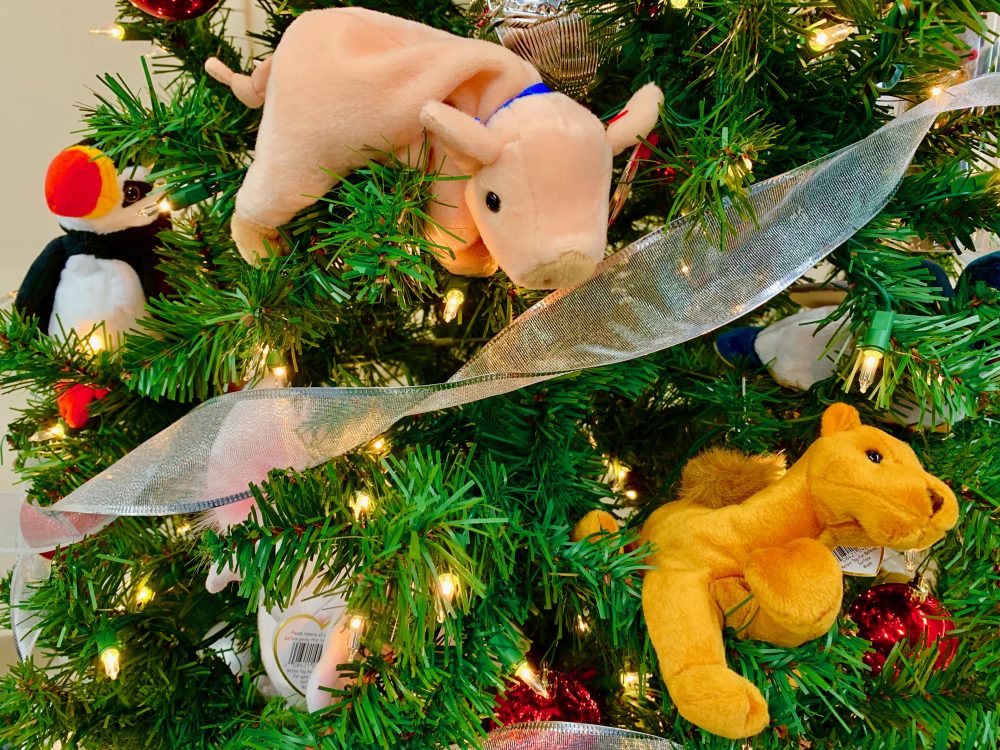 Festival of Trees, Wellesley