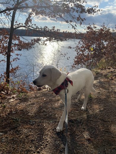 Wendy at Morse’s pond!