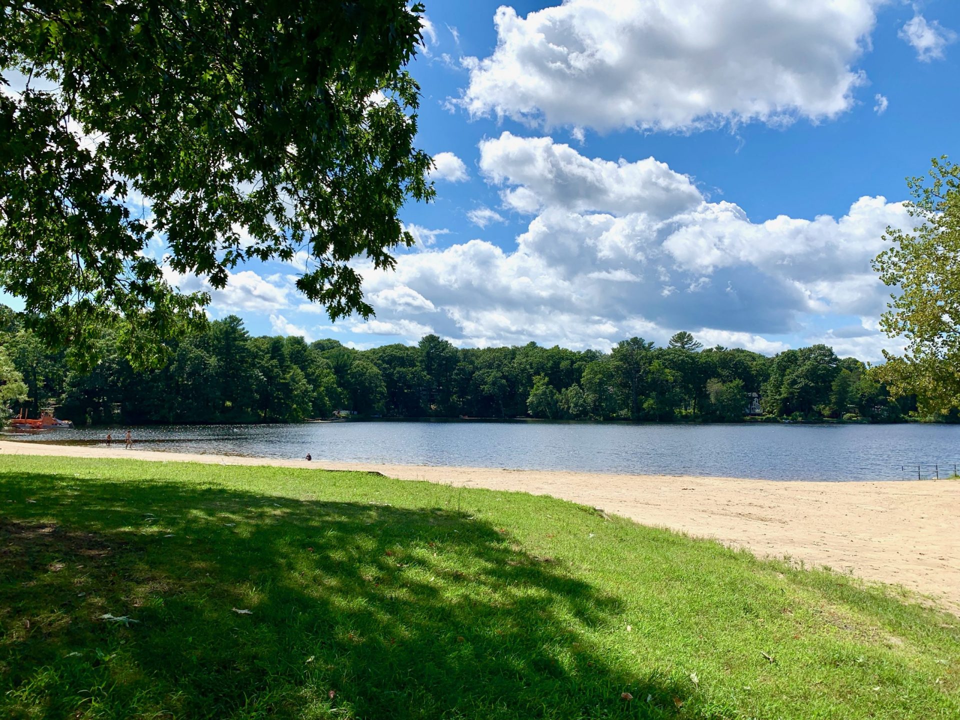 Morses Pond, Wellesley
