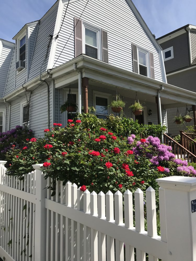 Uncle Jerry's garden