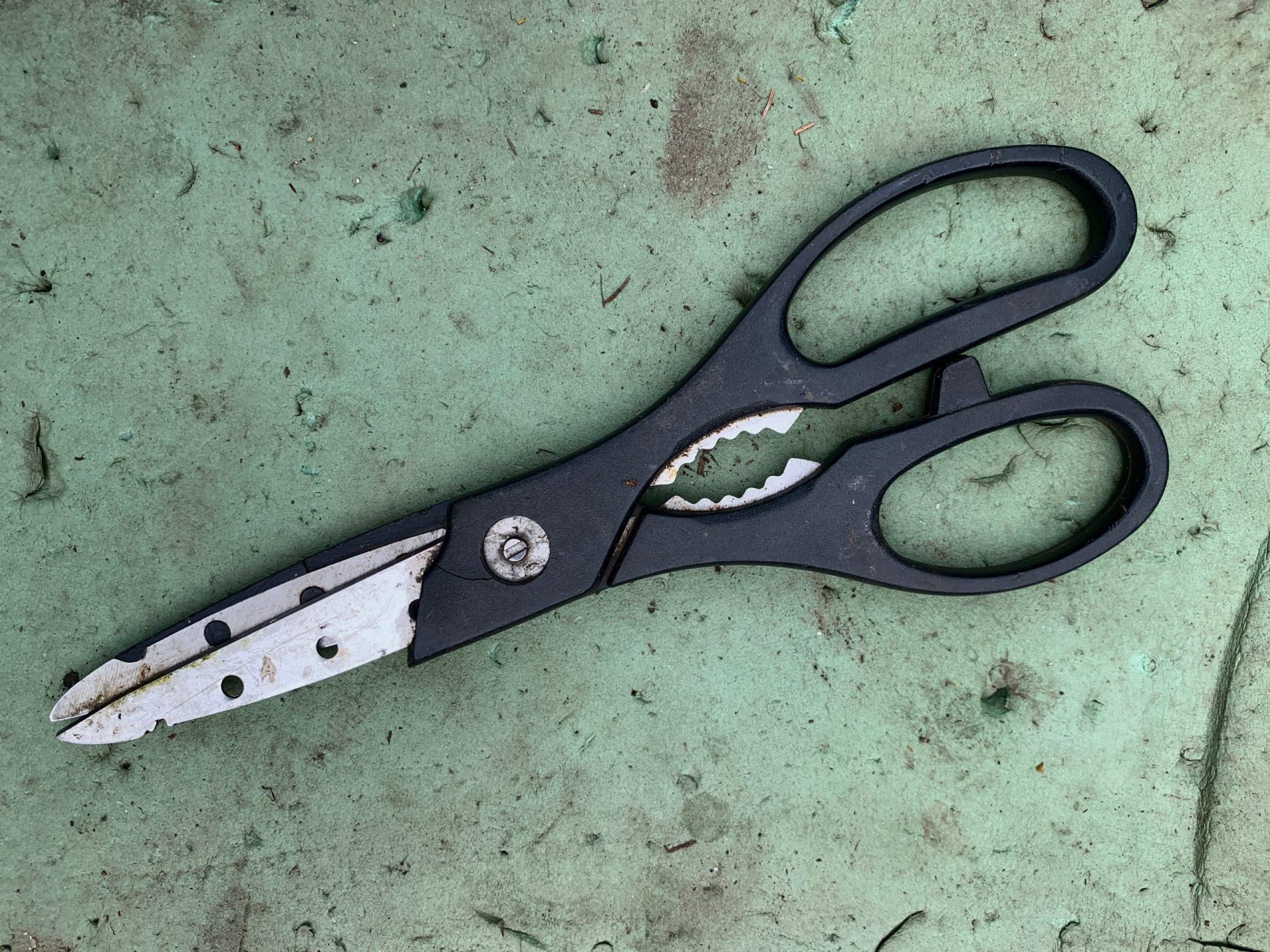 Wellesley garden, scissors