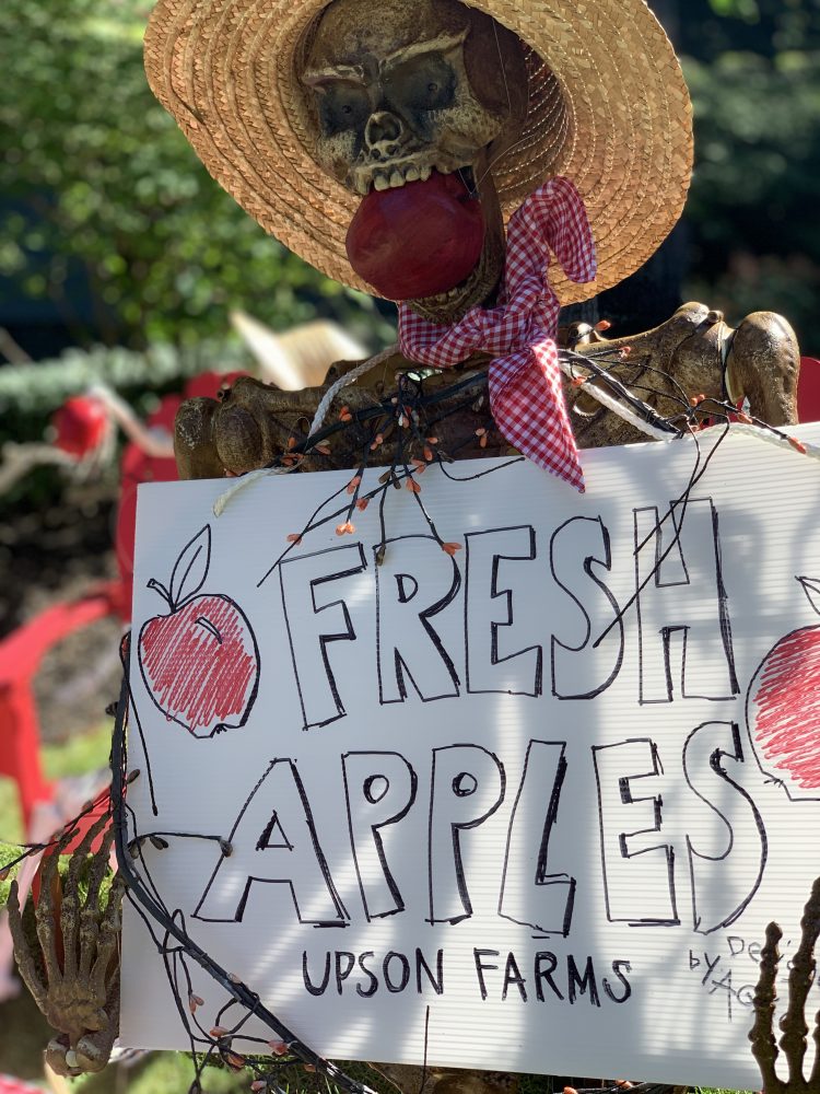 Apple picking halloween