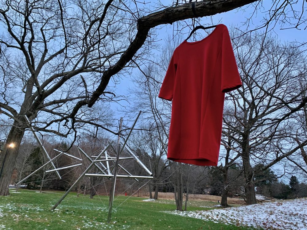 Wellesley College, red dress