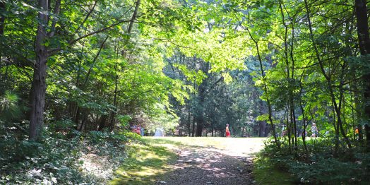 LINX, New England Outdoor Camp