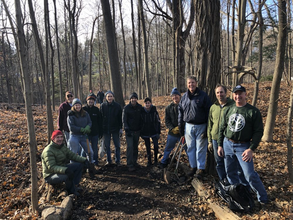 Wellesley Conservation Land Trust patch of woods