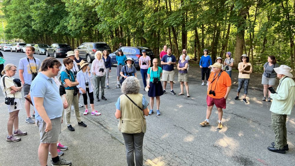 wclt bird walk