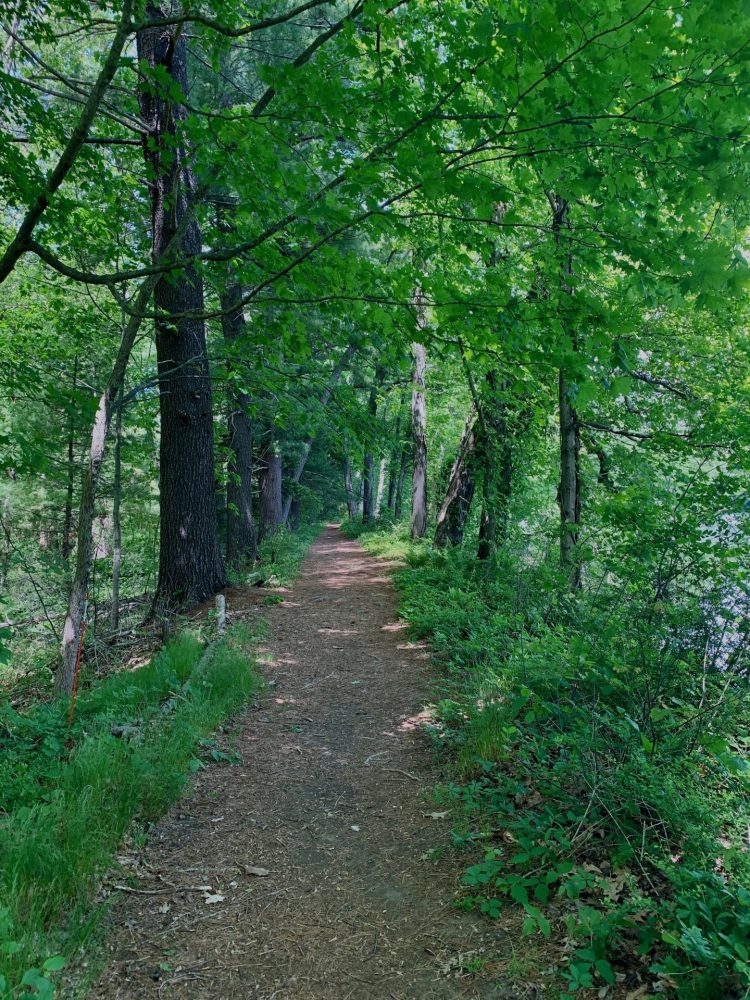 Guernsey Sanctuary, Wellesley