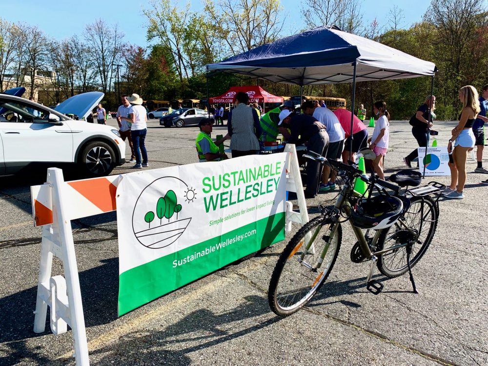 Electric Vehicle showcase, Wellesley