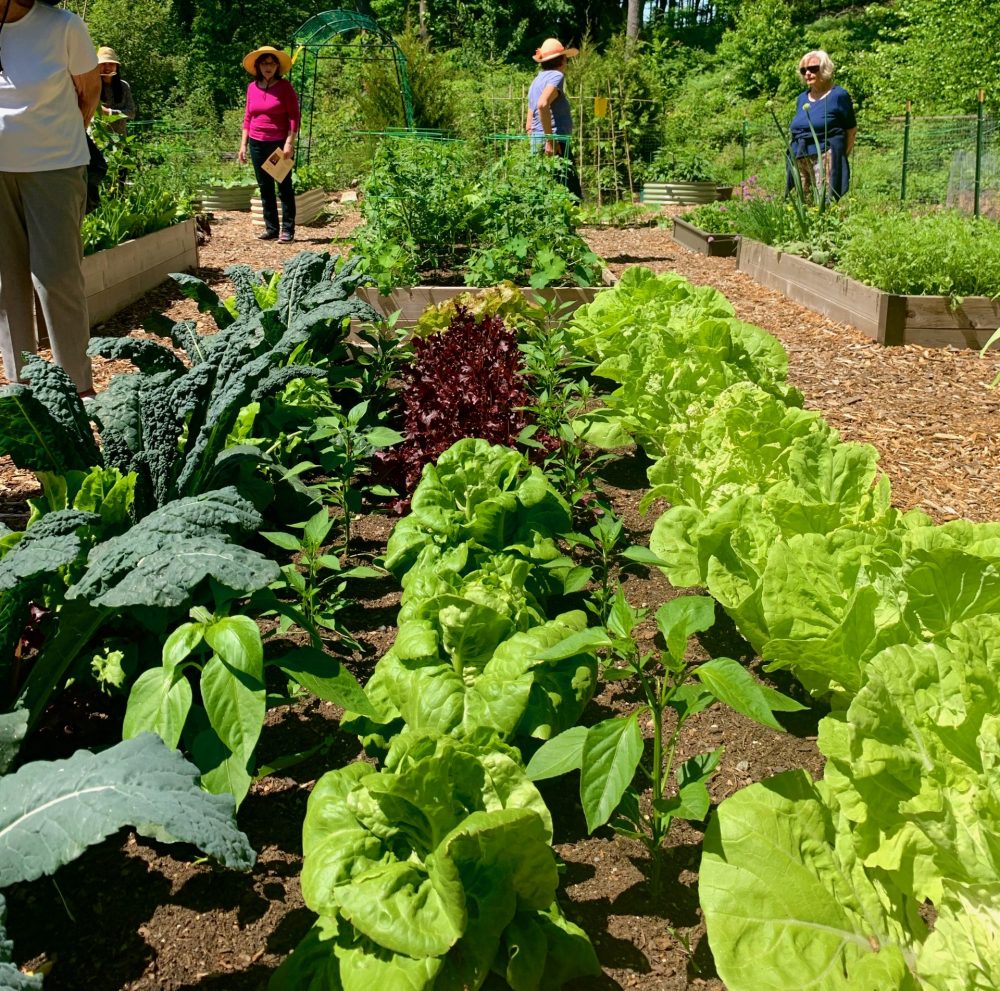 Weston Garden Club, #10