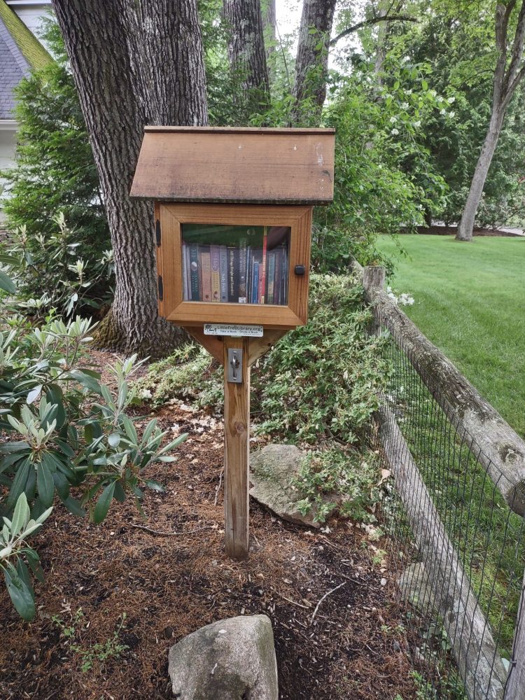 Little Free Library Wellesley Brown Field