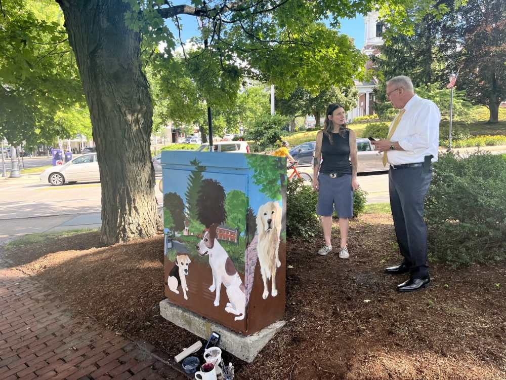 toni alexandar & jack pilecki electrical box