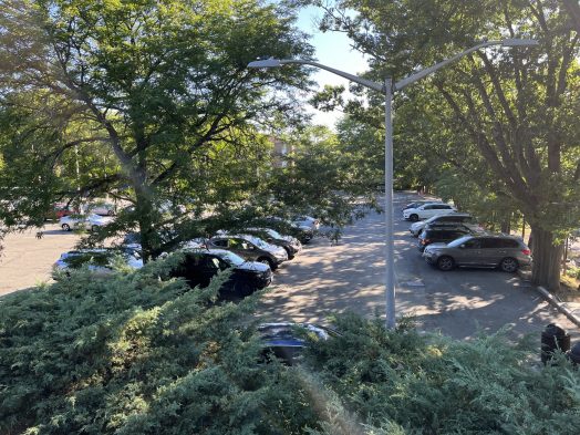 tailby parking lot 9am summer aug