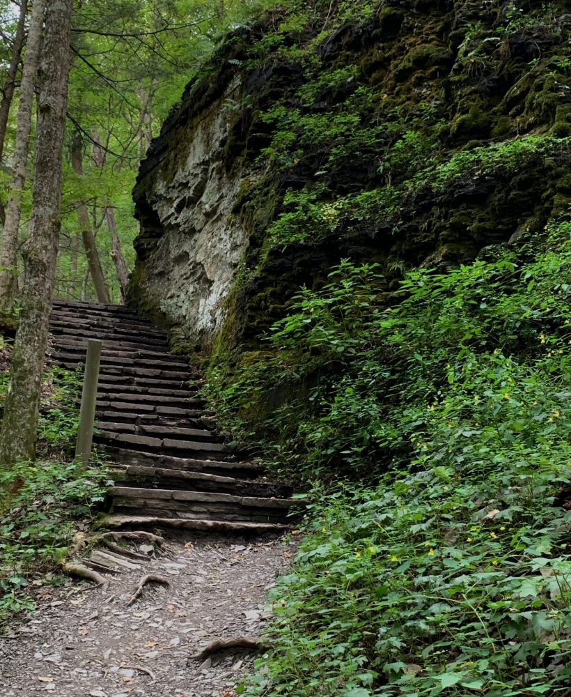 Ithaca, New York, Robert H. Treman State Park