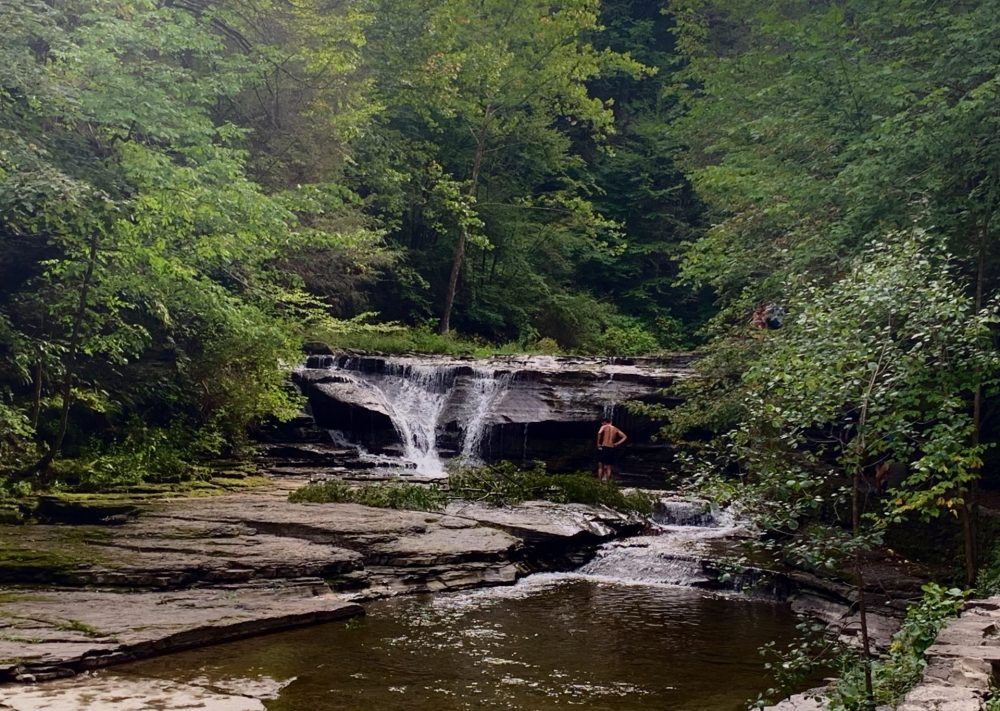 Ithaca, New York, Robert H. Treman State Park