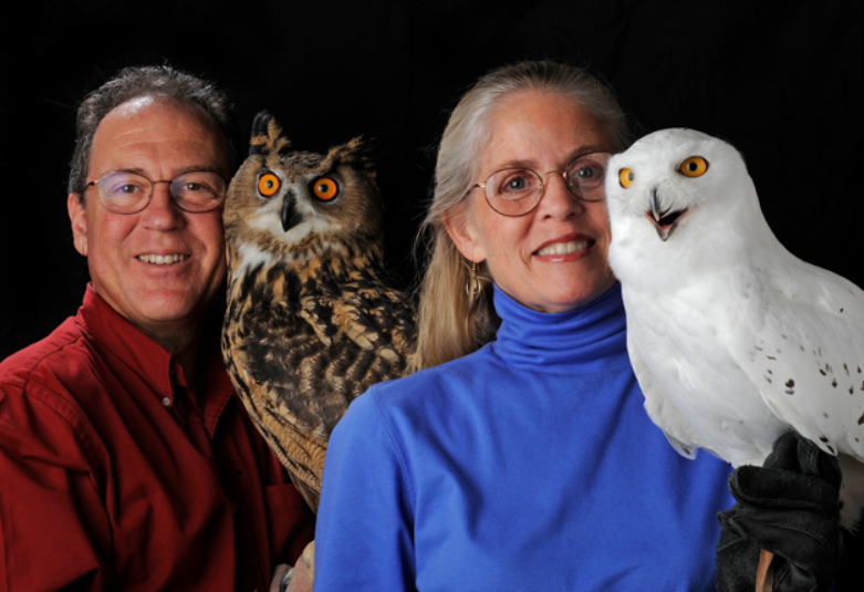 Owls, Wellesley Free Library