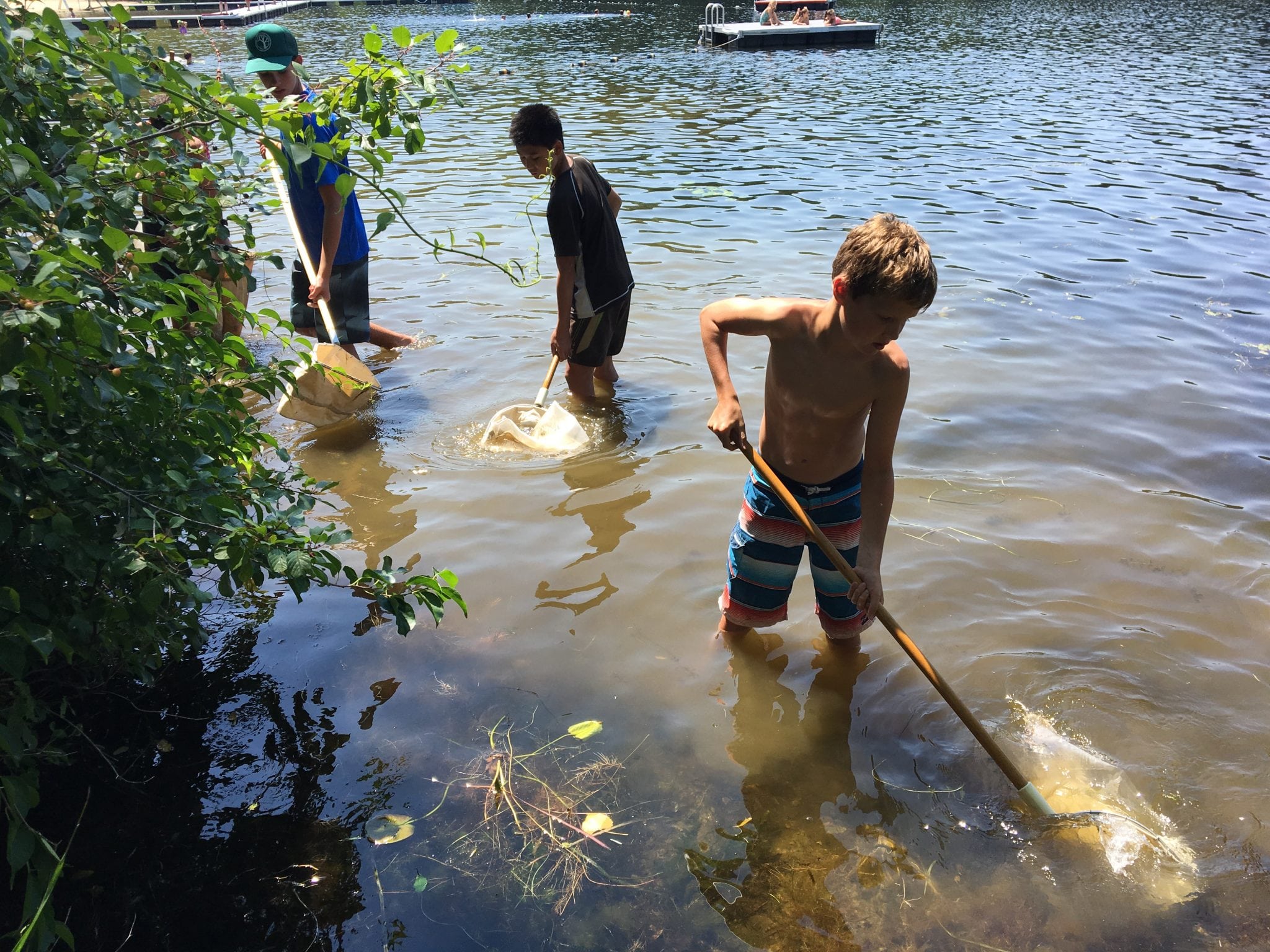 wellesley ecocamp