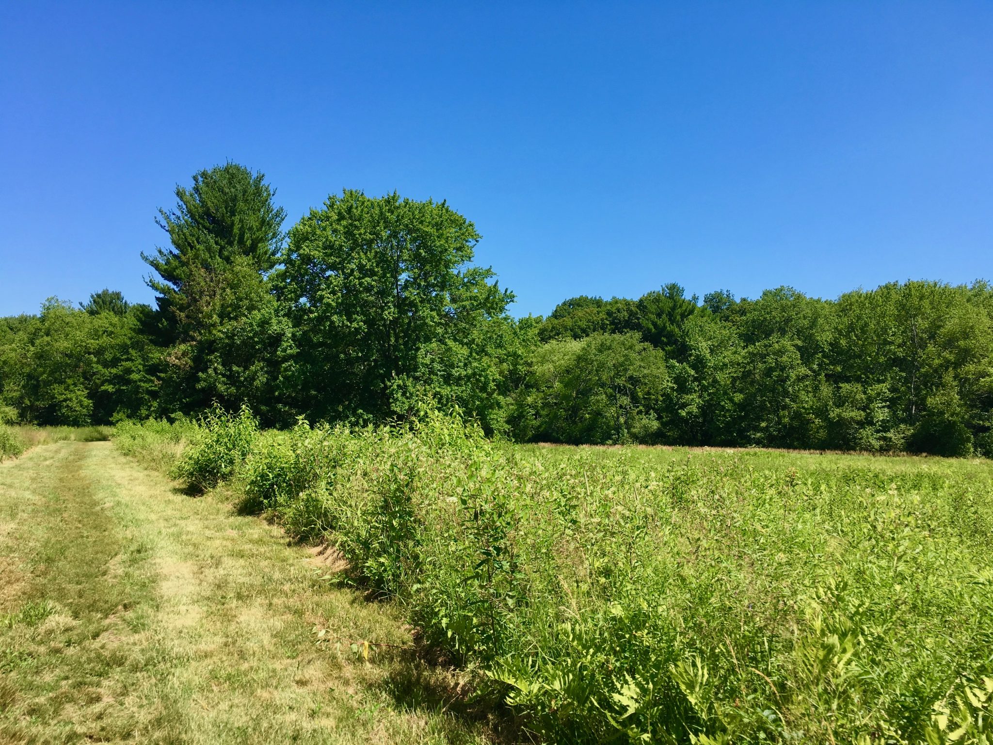 Boulder Brook Reservation, Wellesley