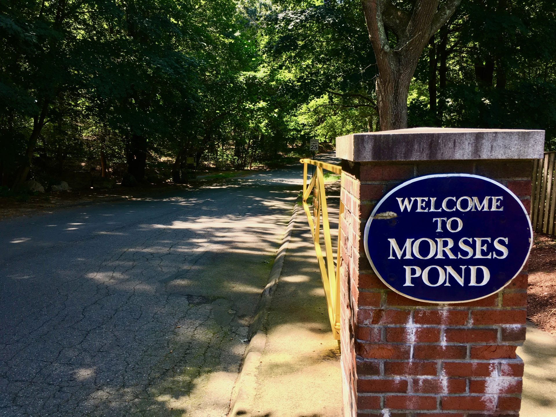 Morses Pond reservation system opens June 7 The Swellesley Report