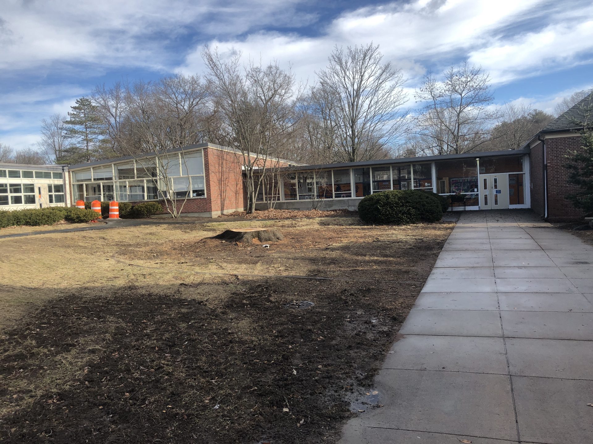Down goes the Hunnewell school white oak tree The Swellesley Report