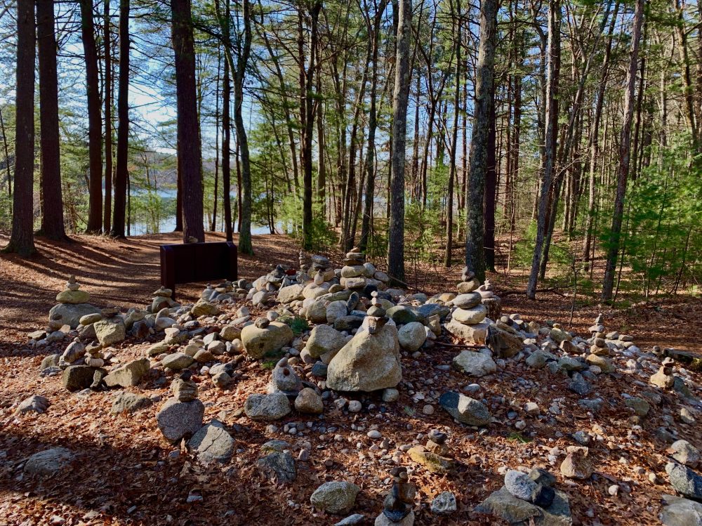 Pic 10, Walden Pond, Concord