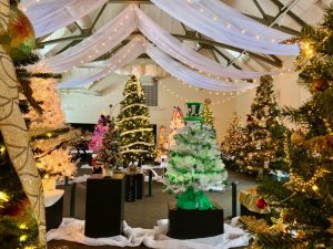 Mass Hort, Festival of Trees