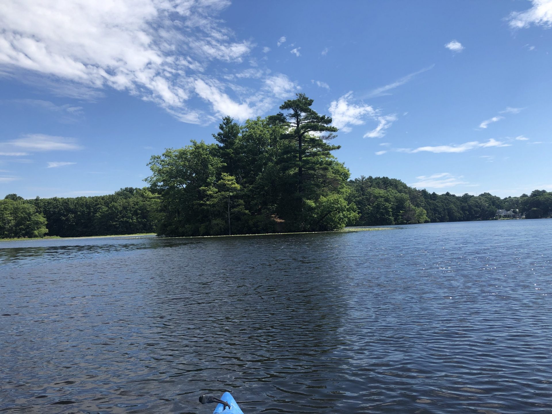 Kayaking at Wellesley's Morses Pond The Swellesley Report