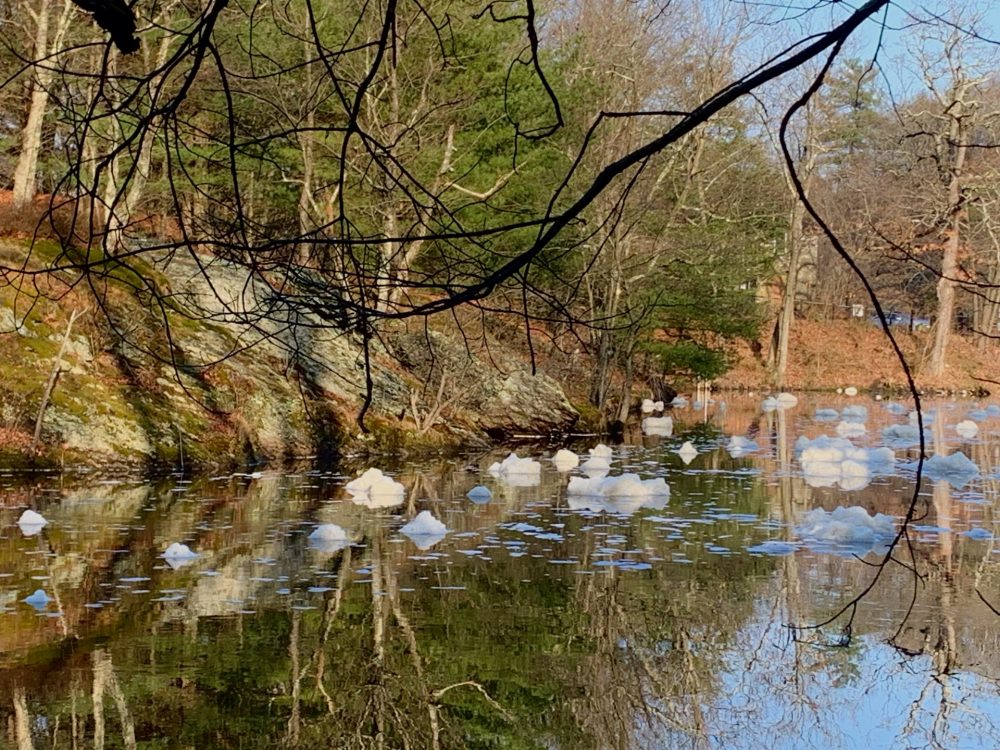 Echo Park, Hemlock Gorge