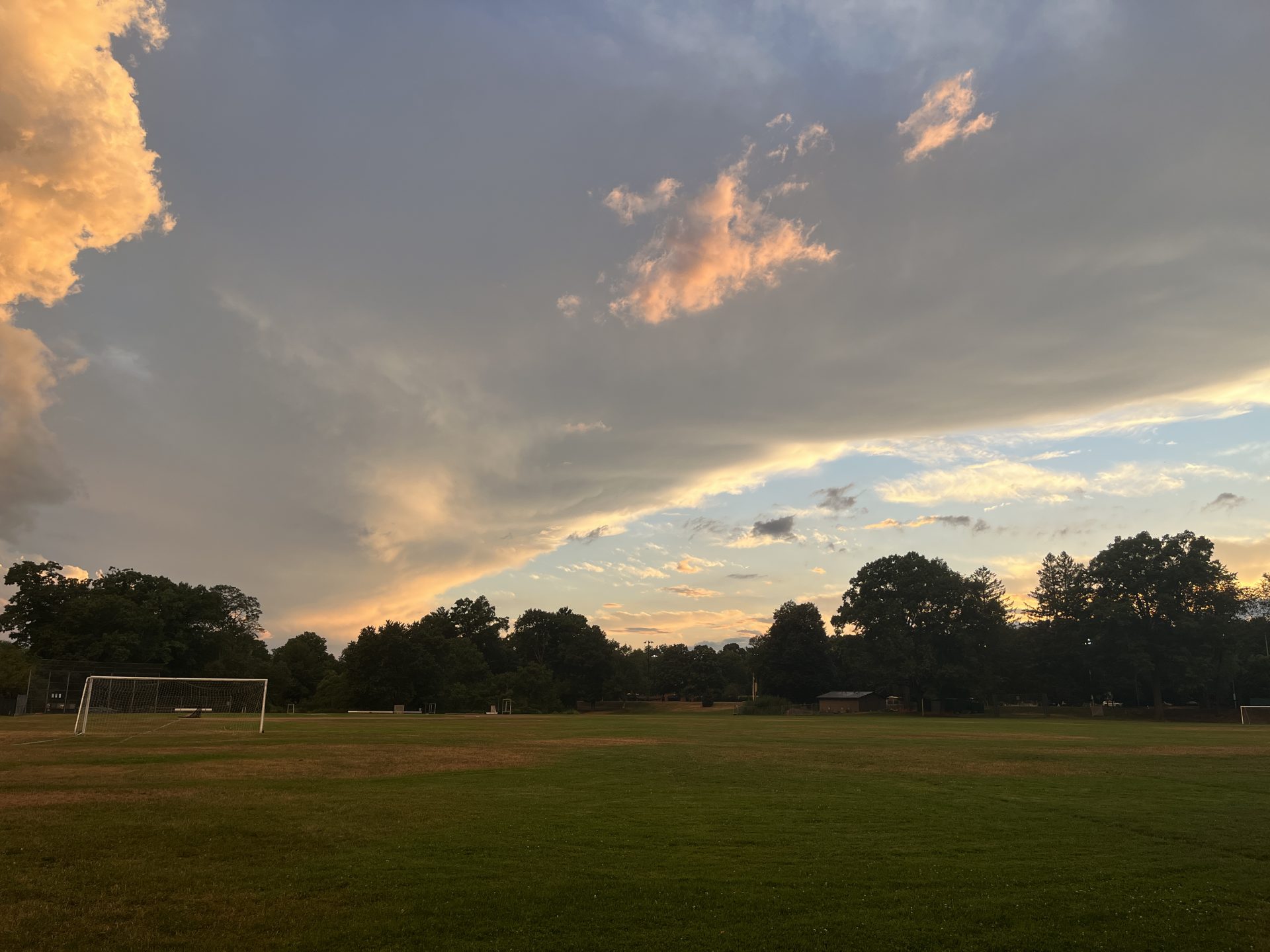 Wellesley & The Hunnewell Family The Swellesley Report