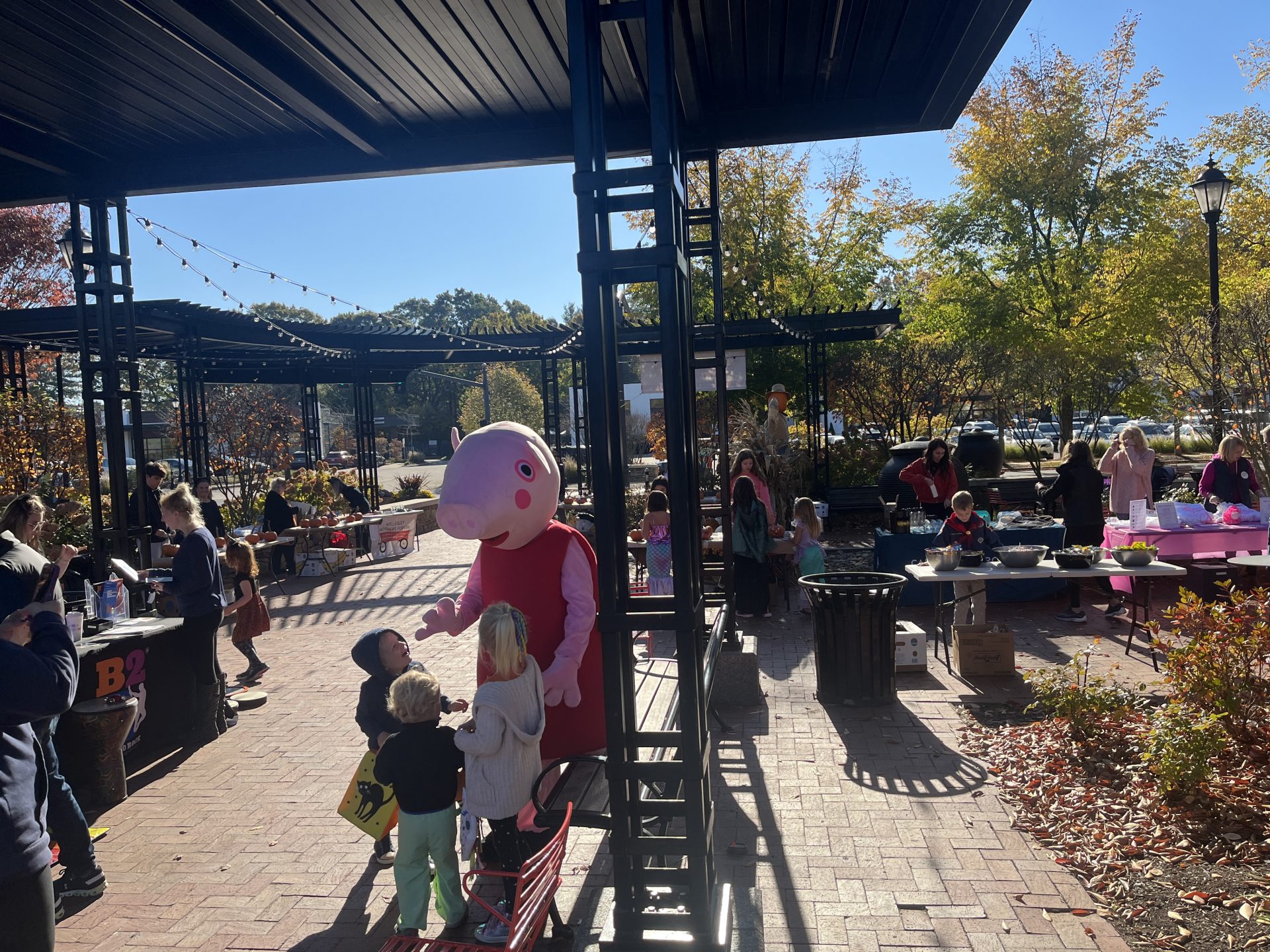 Pumpkin paradise in Linden Square The Swellesley Report